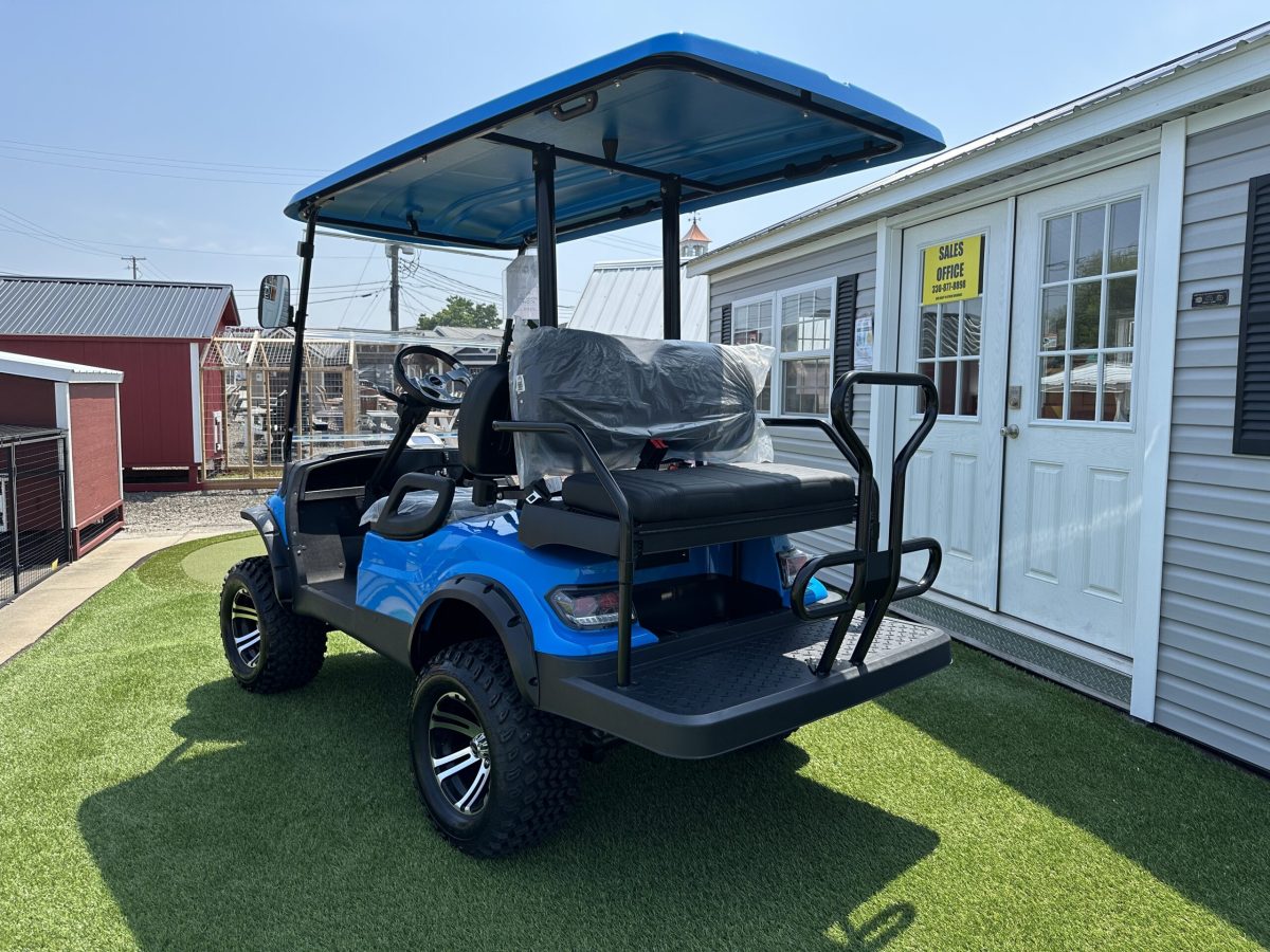 blue golf carts toledo ohio (2)