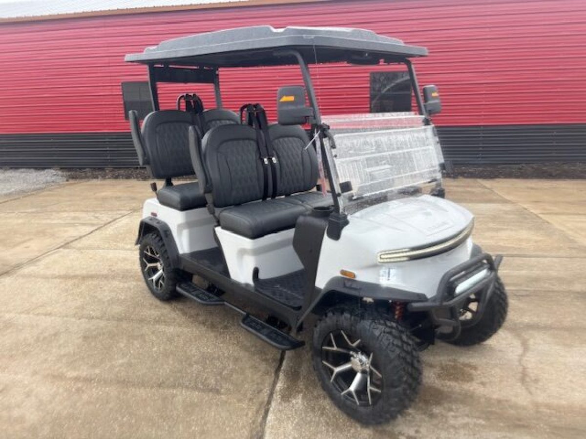 brand new denago rover xl golf cart Medina Ohio