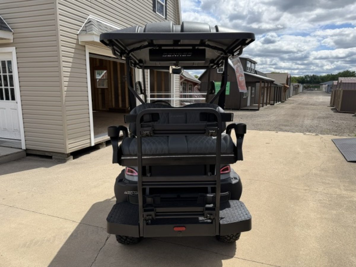 buy golf carts online Willoughby Ohio