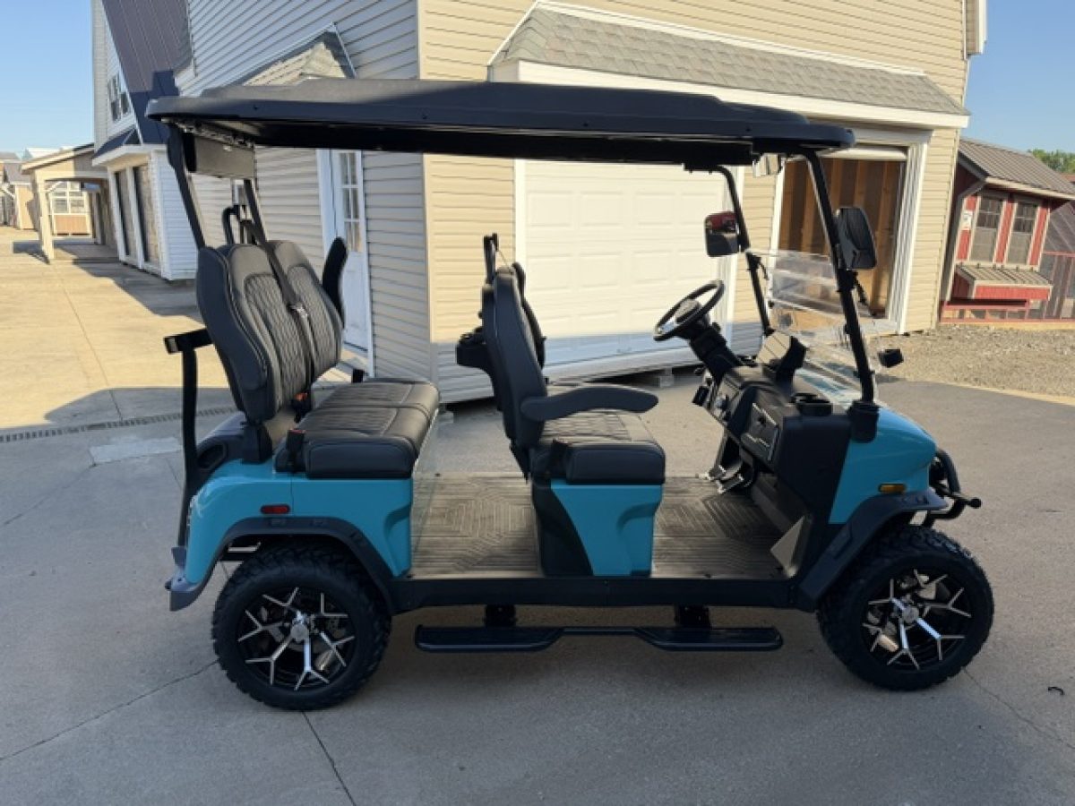 cleveland golf carts Painesville Ohio