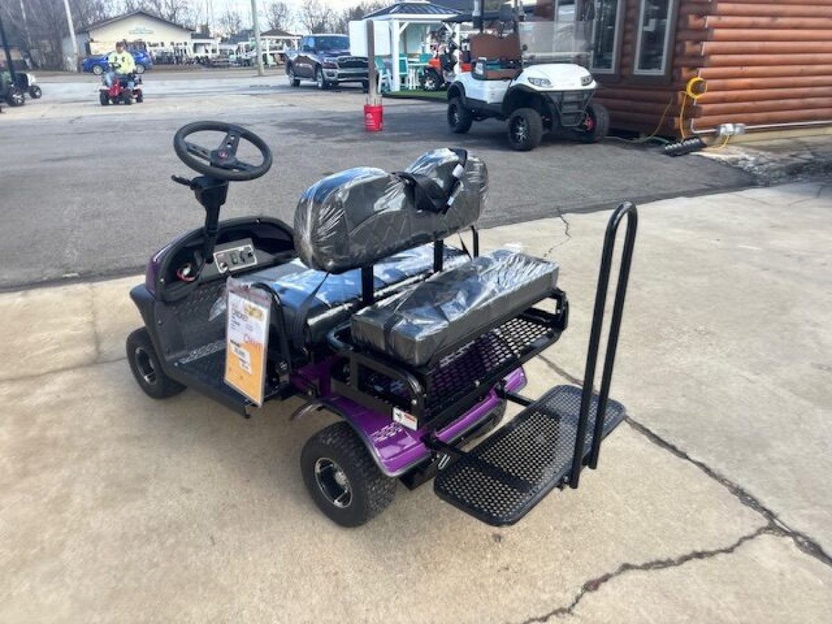 cricket ev for sale Painesville Township Ohio