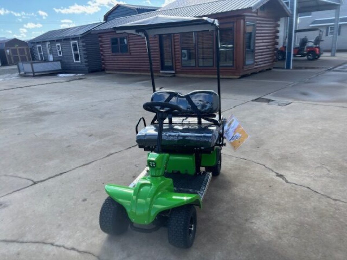 cricket mini golf carts near me Painesville Township Ohio