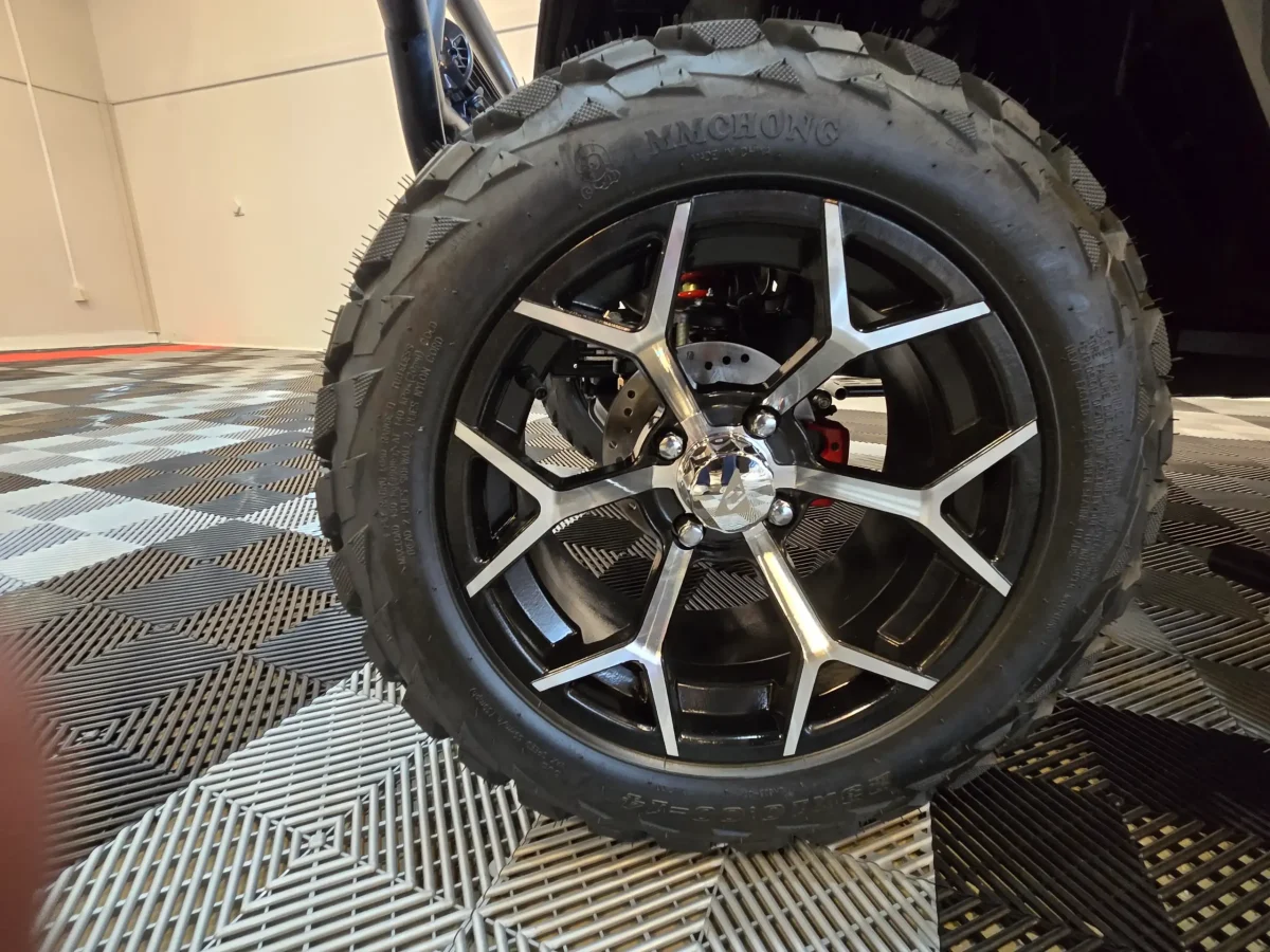 denago carts mentor ohio Kirtland ohio