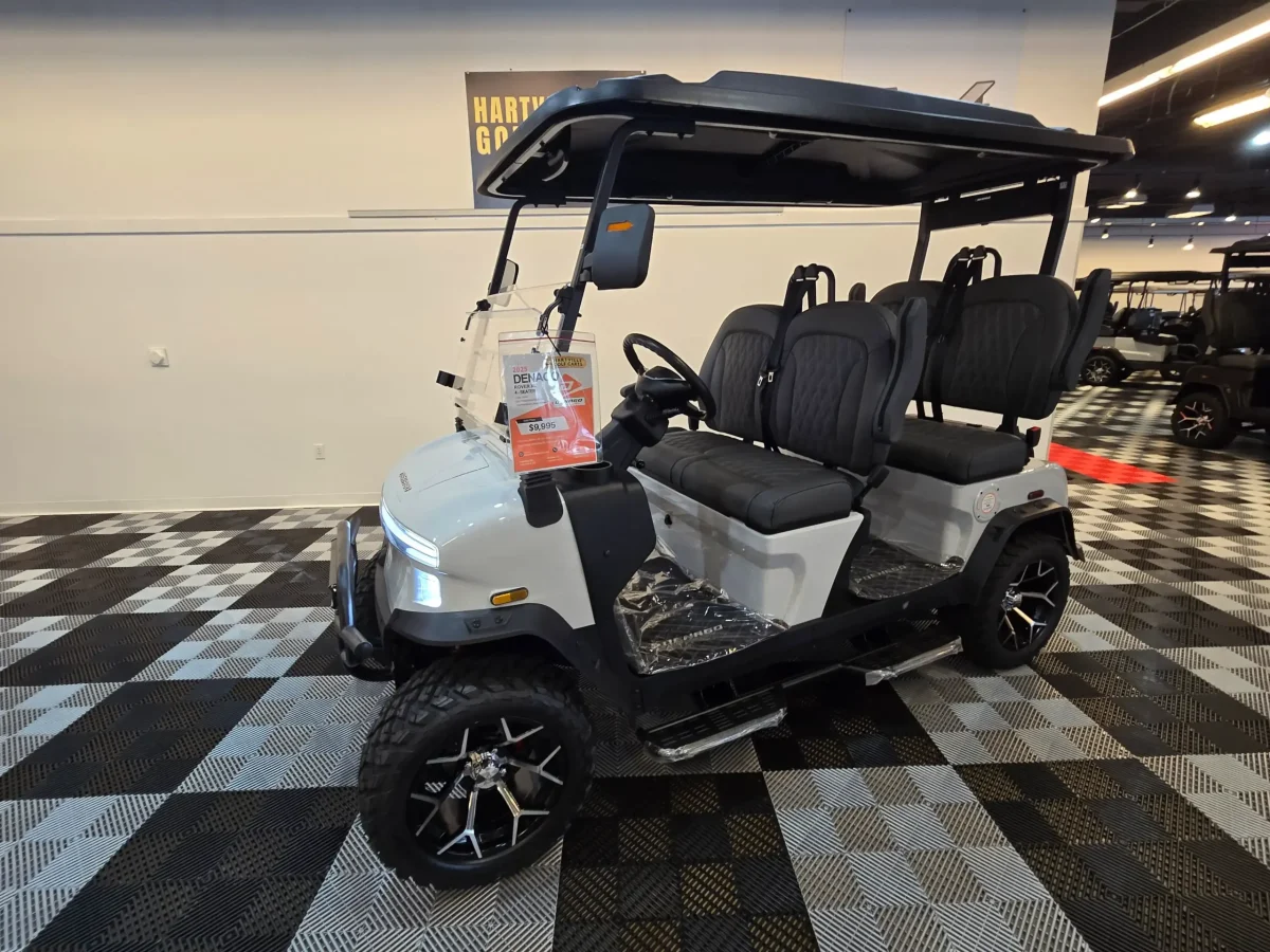 denago carts mentor ohio painesville township ohio