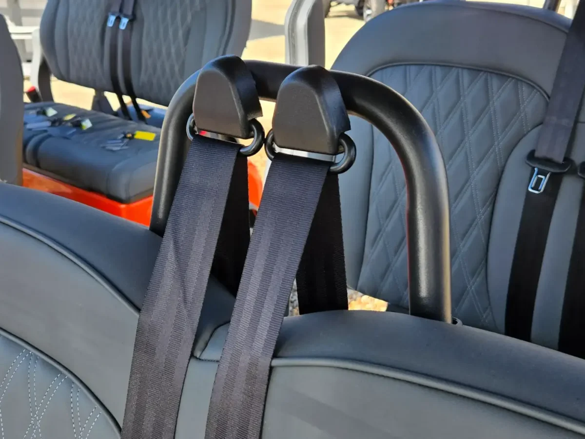 denago carts painesville ohio concord township ohio