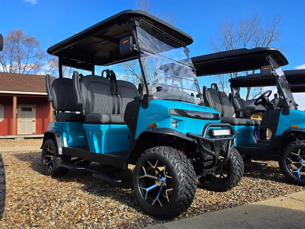 denago carts painesville township ohio concord twp ohio