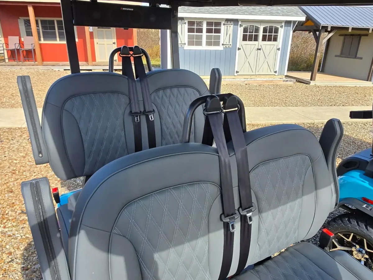 denago carts painesville township ohio fairport harbor ohio