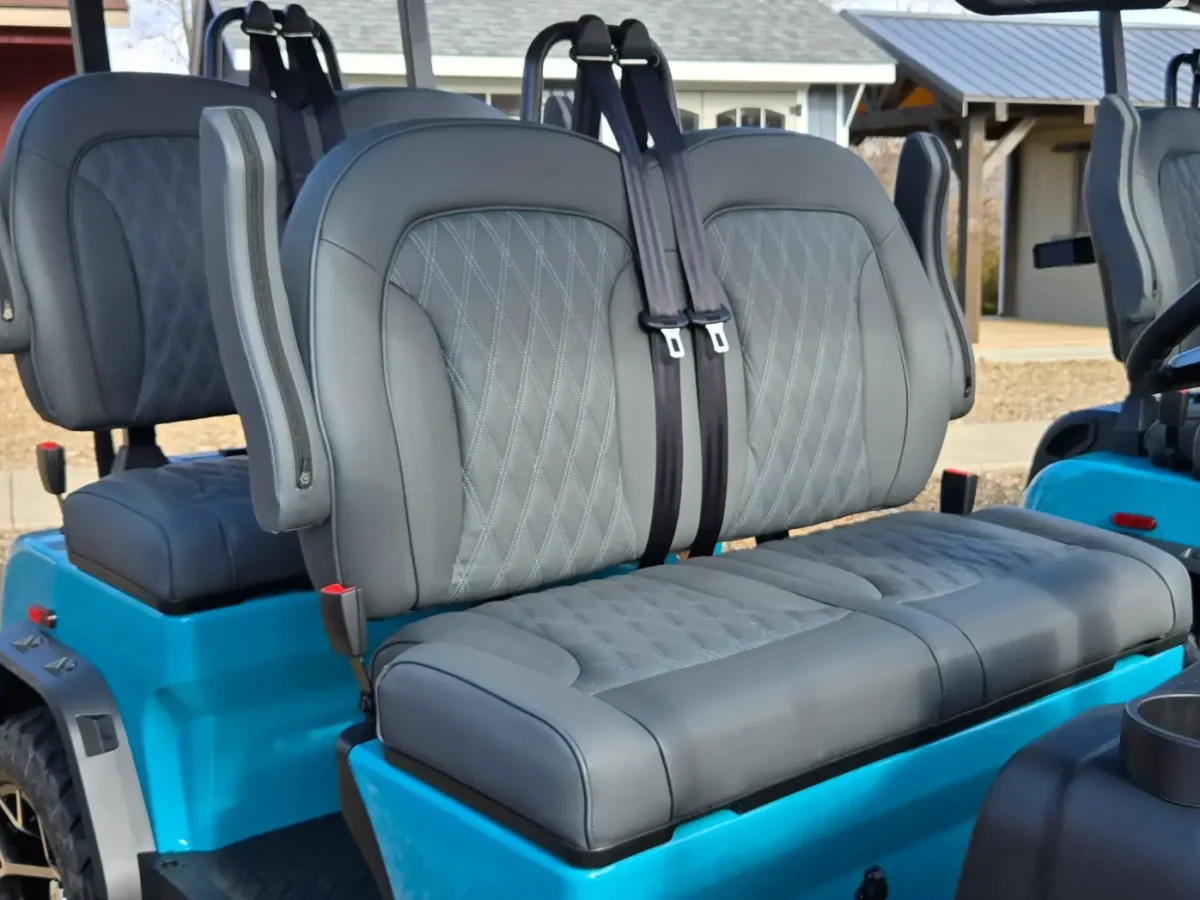 denago carts painesville township ohio mentor on the lake