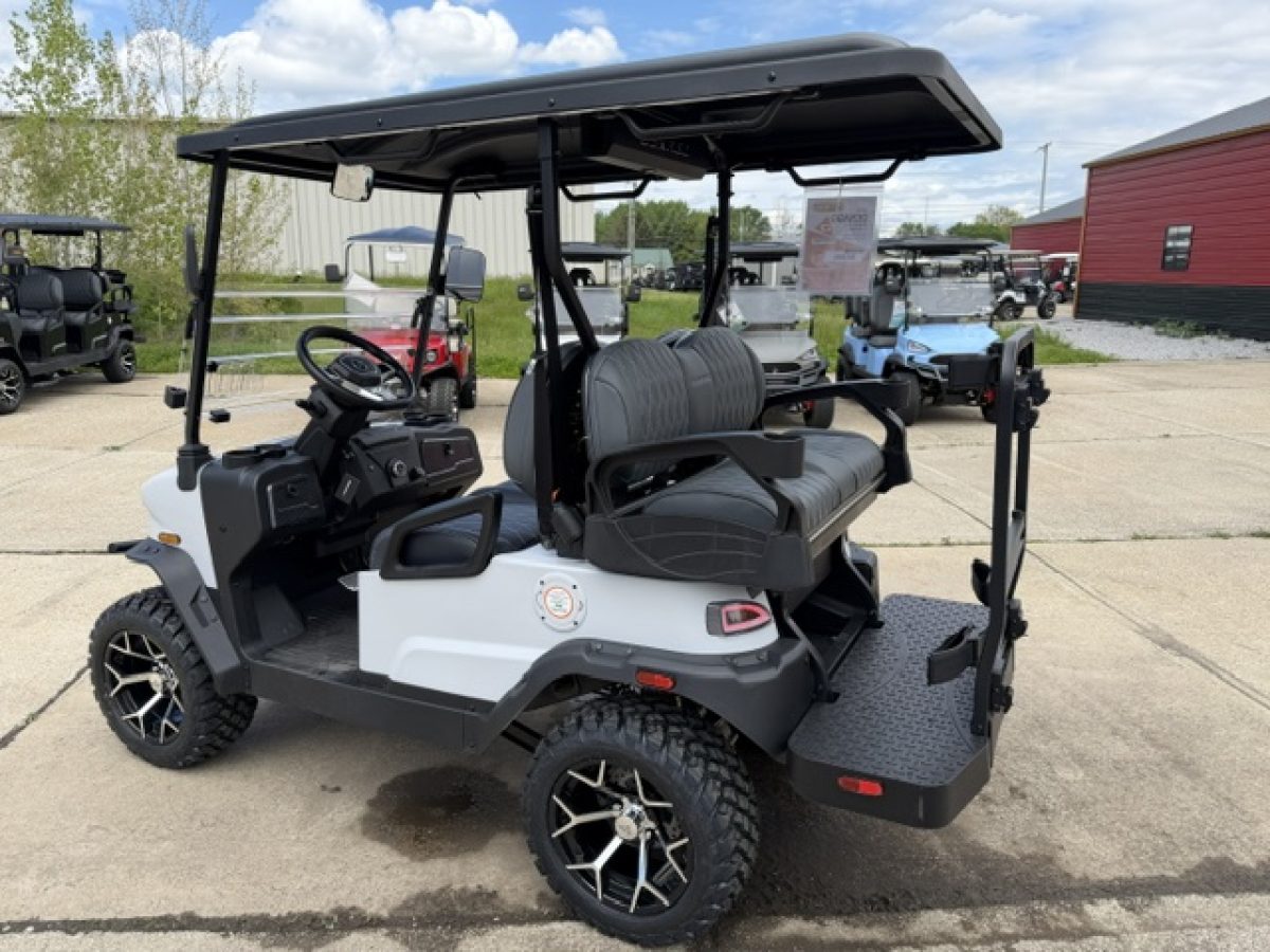 denago carts​ for sale Kirtland Ohio