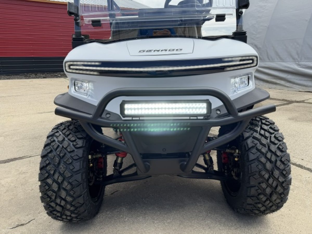denago carts​ for sale Mentor on the Lake Ohio