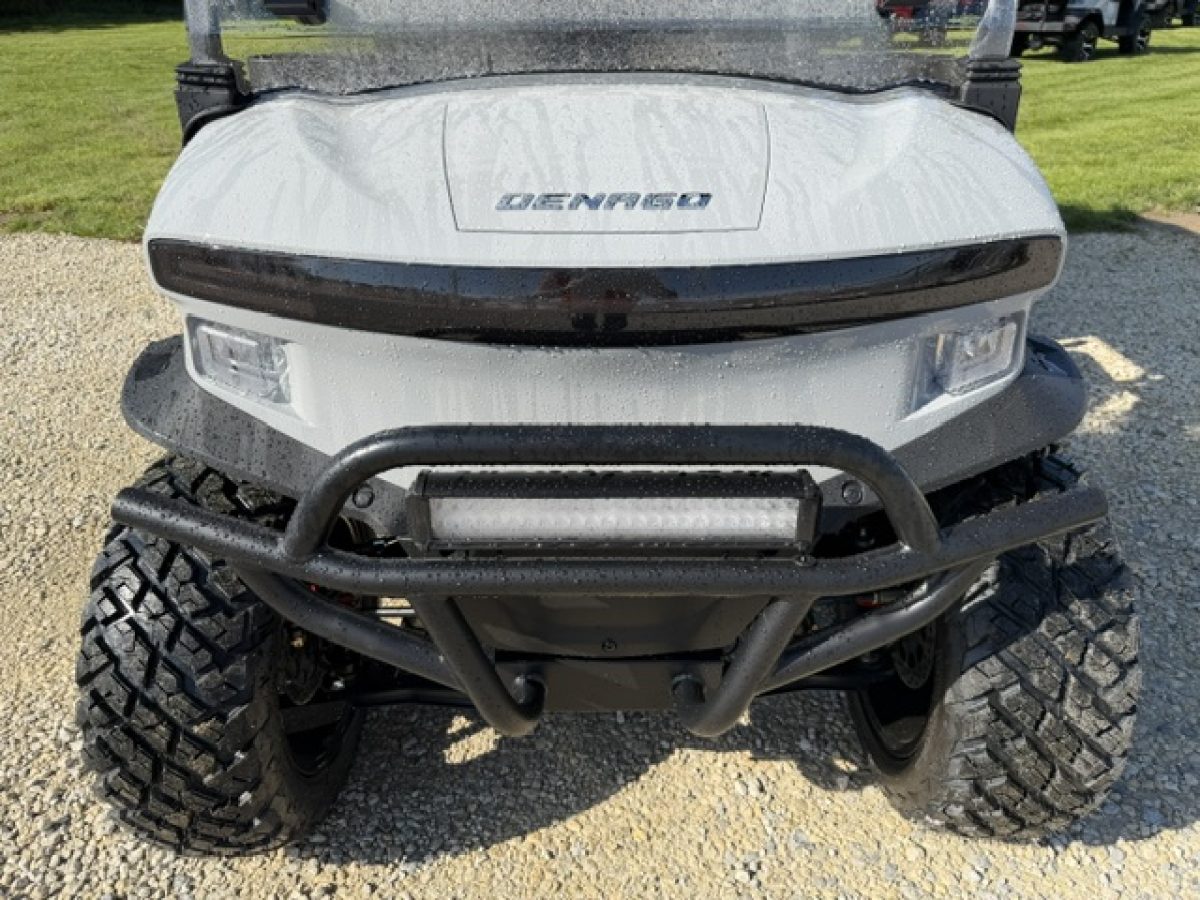 denago ev cart Mentor on the Lake Ohio