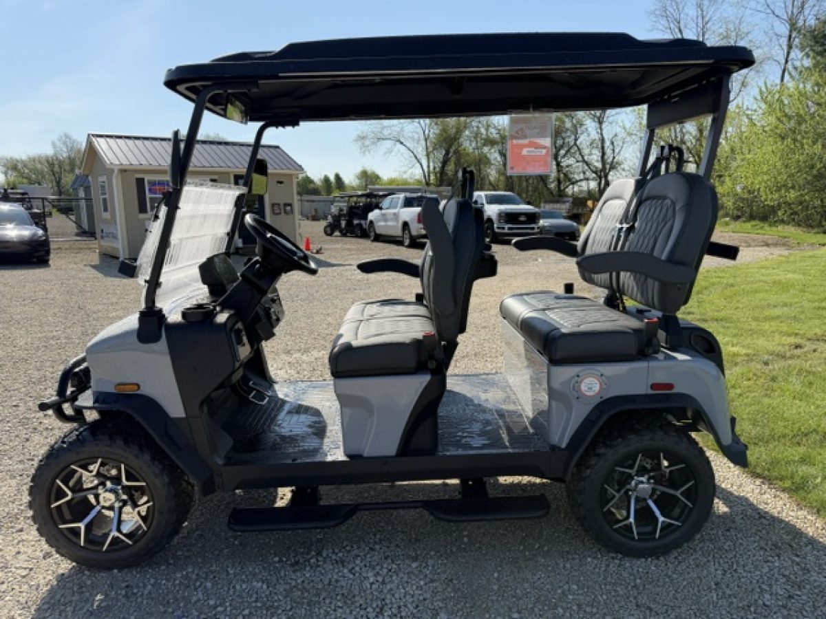 denago ev cart Strongsville Ohio
