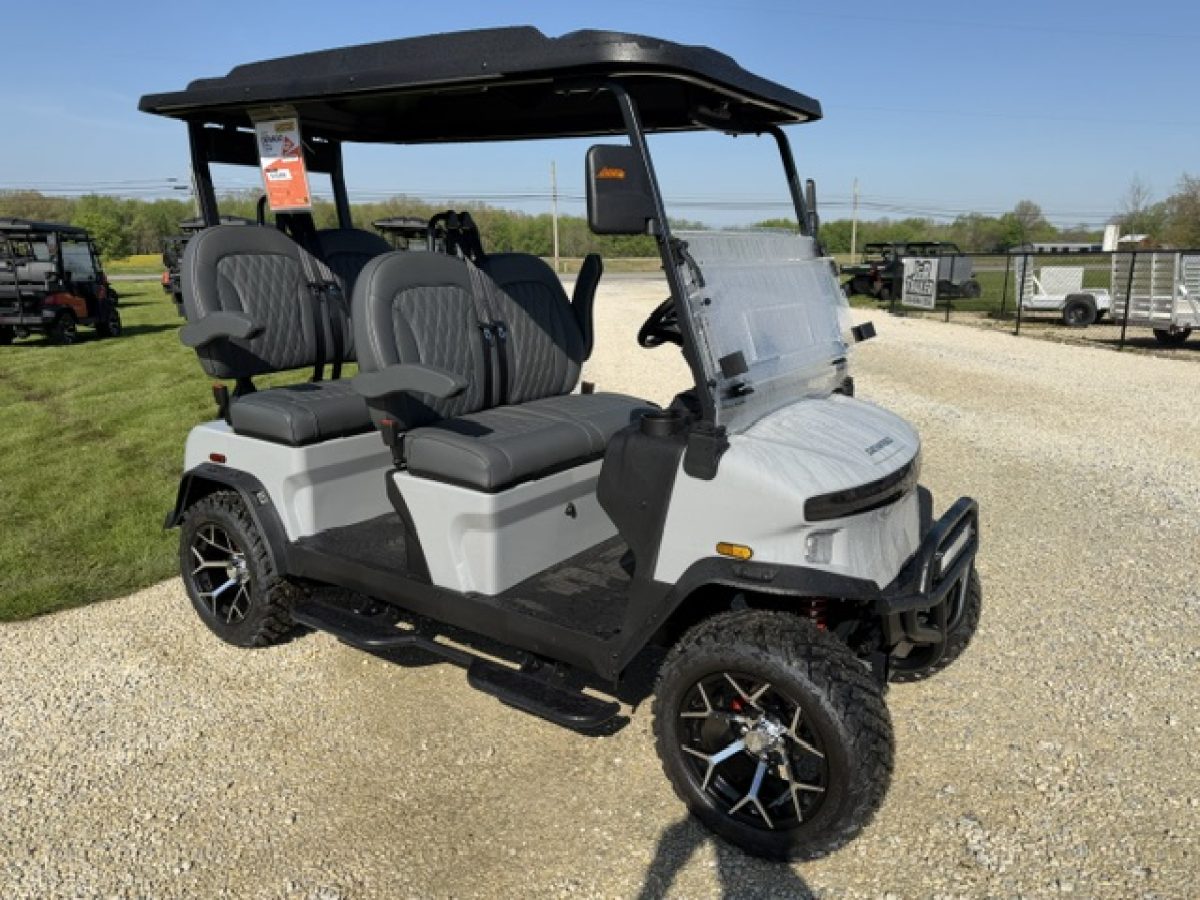 denago ev cart Wickliffe Ohio