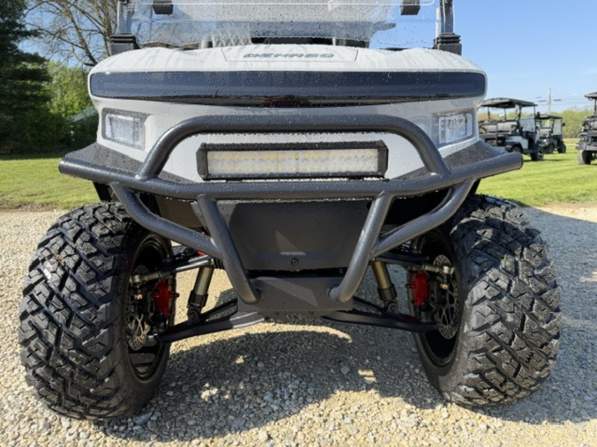 denago ev for sale Mentor on the Lake Ohio
