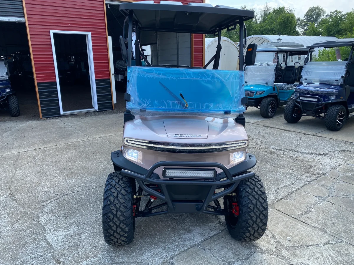 denago ev golf cart Athens Ohio