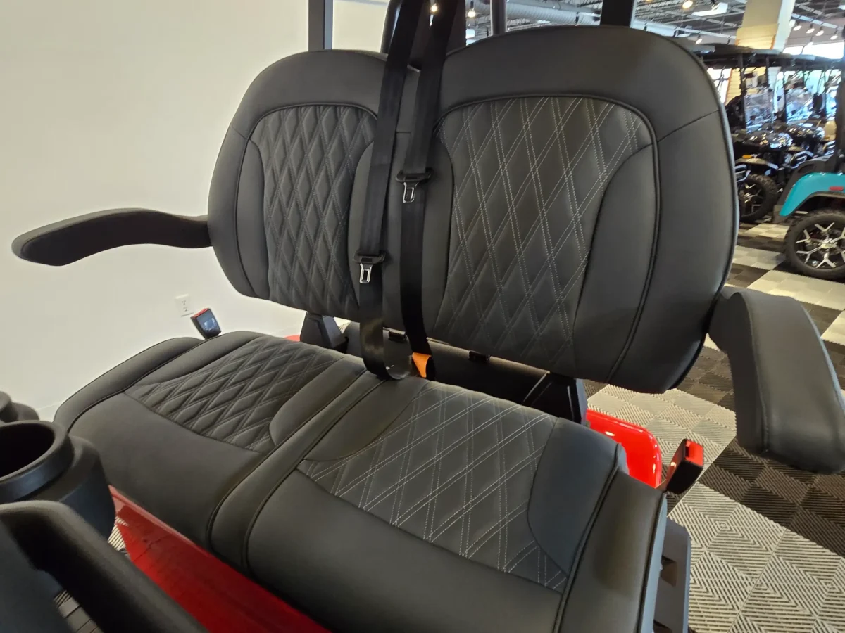 denago ev golf cart painesville ohio concord township ohio 1