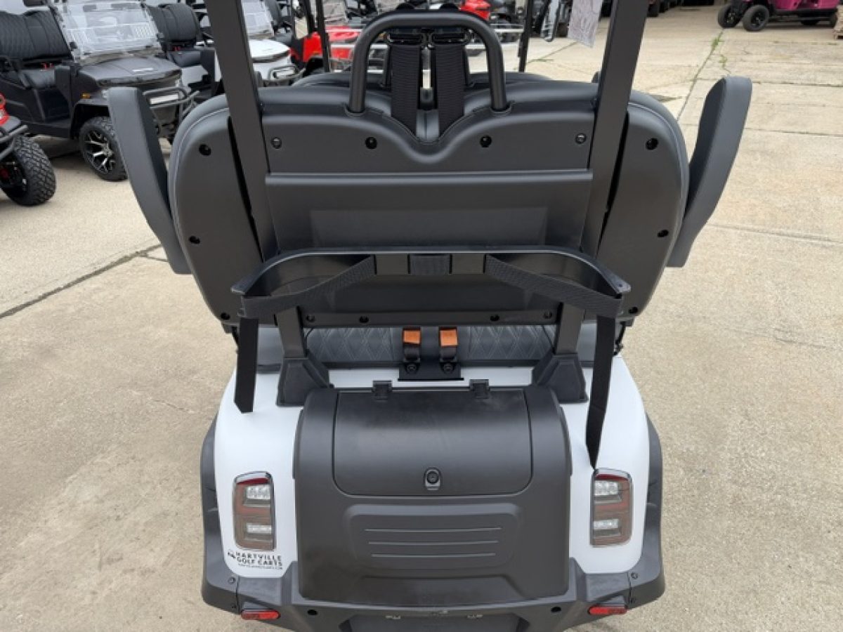 denago ev golf carts for sale​ Chardon Ohio