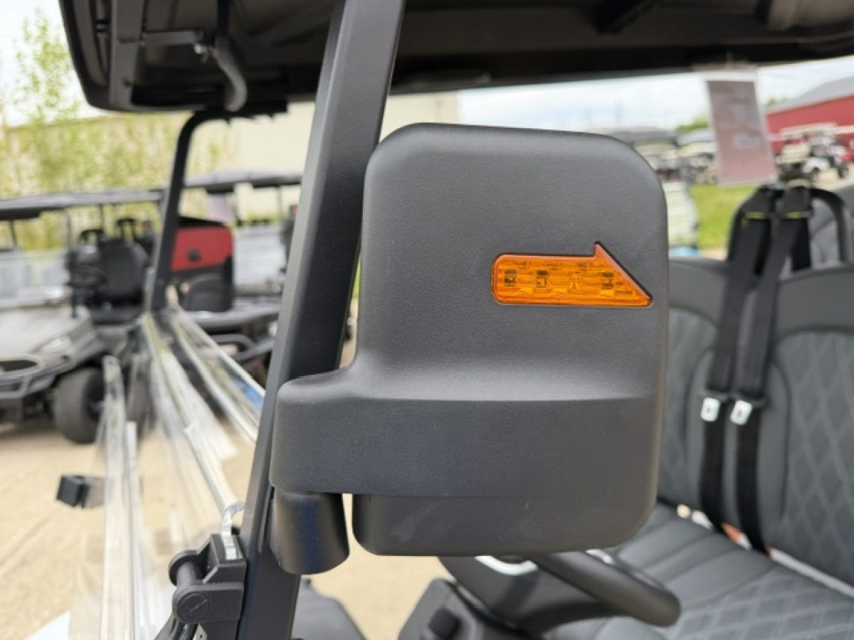 denago ev golf carts for sale​ Painesville Township Ohio