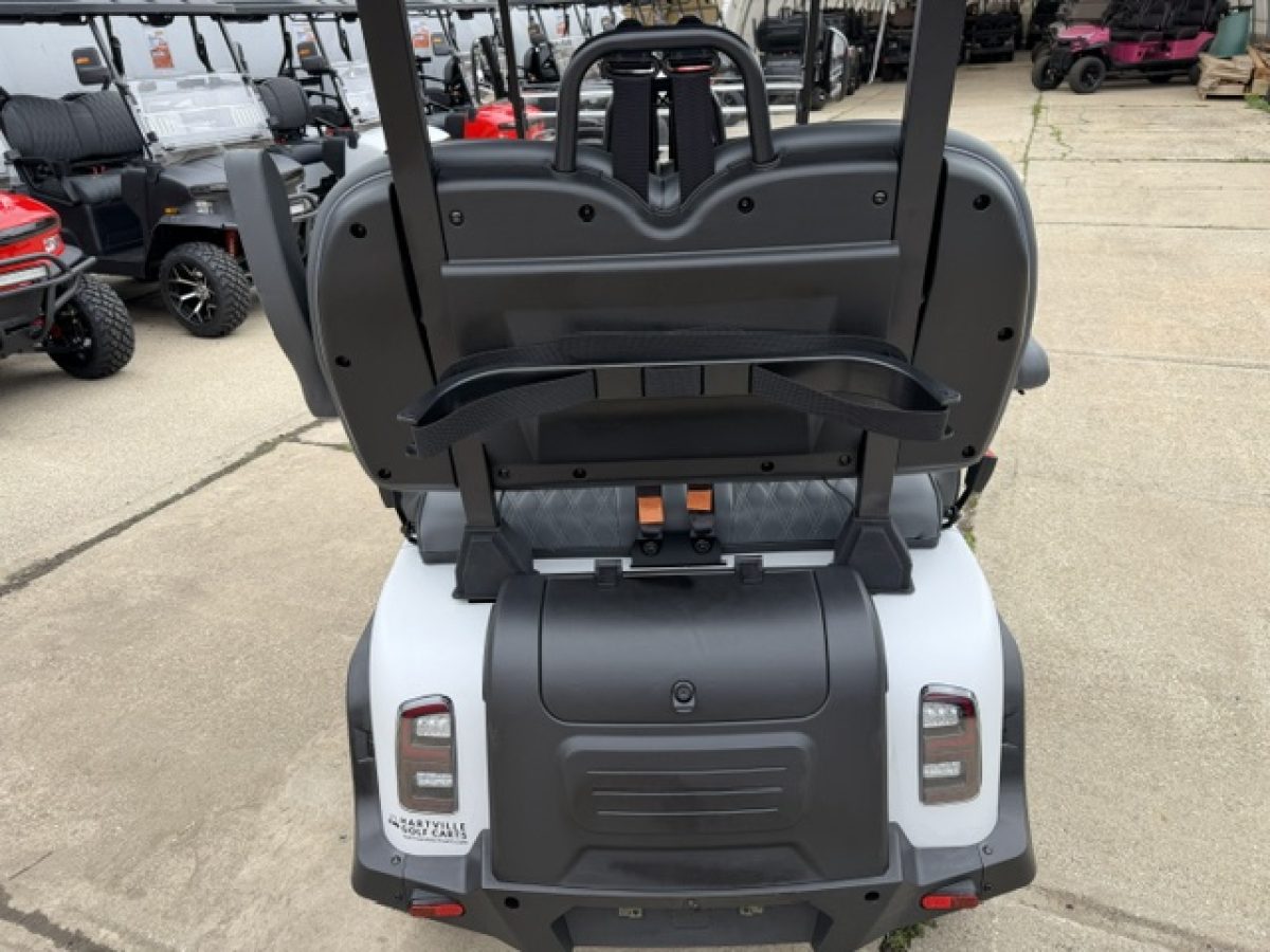 denago ev golf cart​ on sale Chardon Ohio
