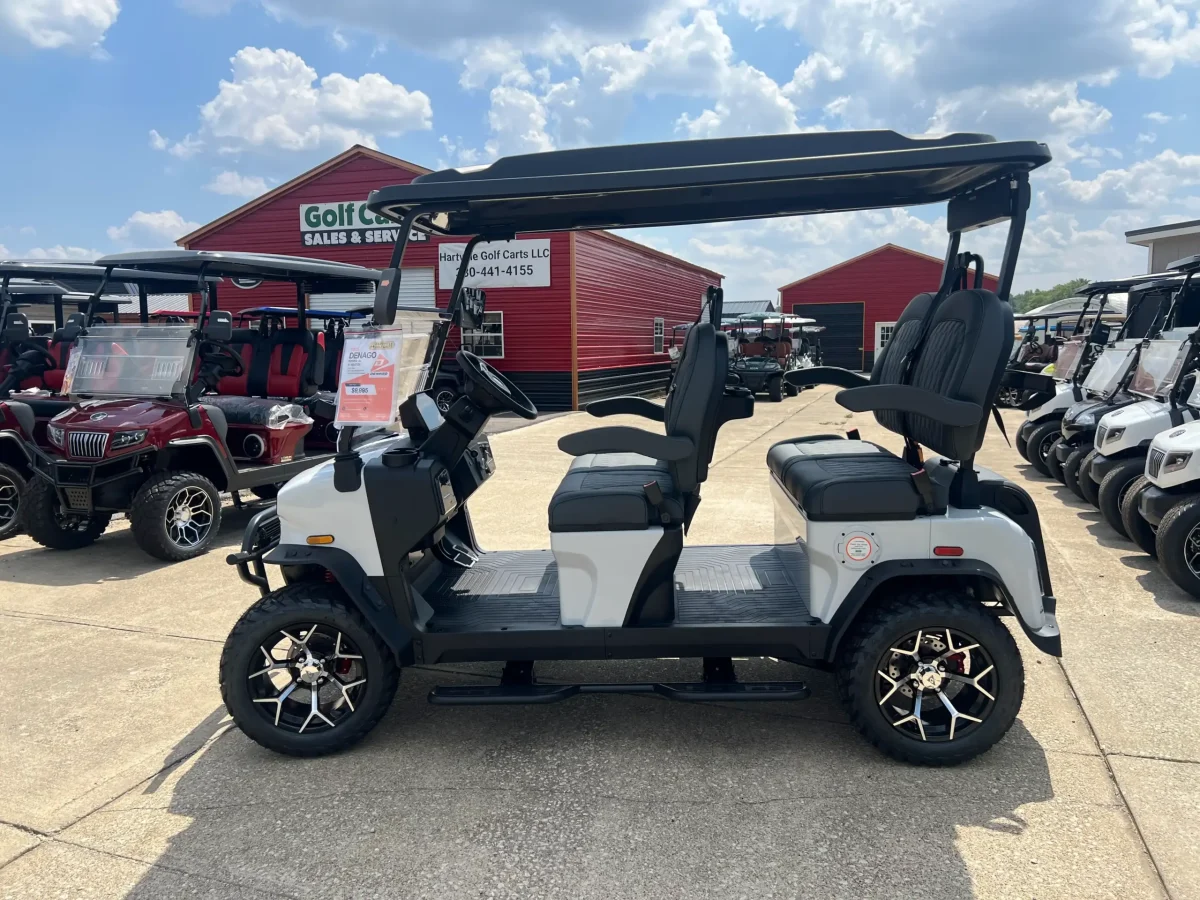 denago ev rover xl for sale Wickliffe ohio