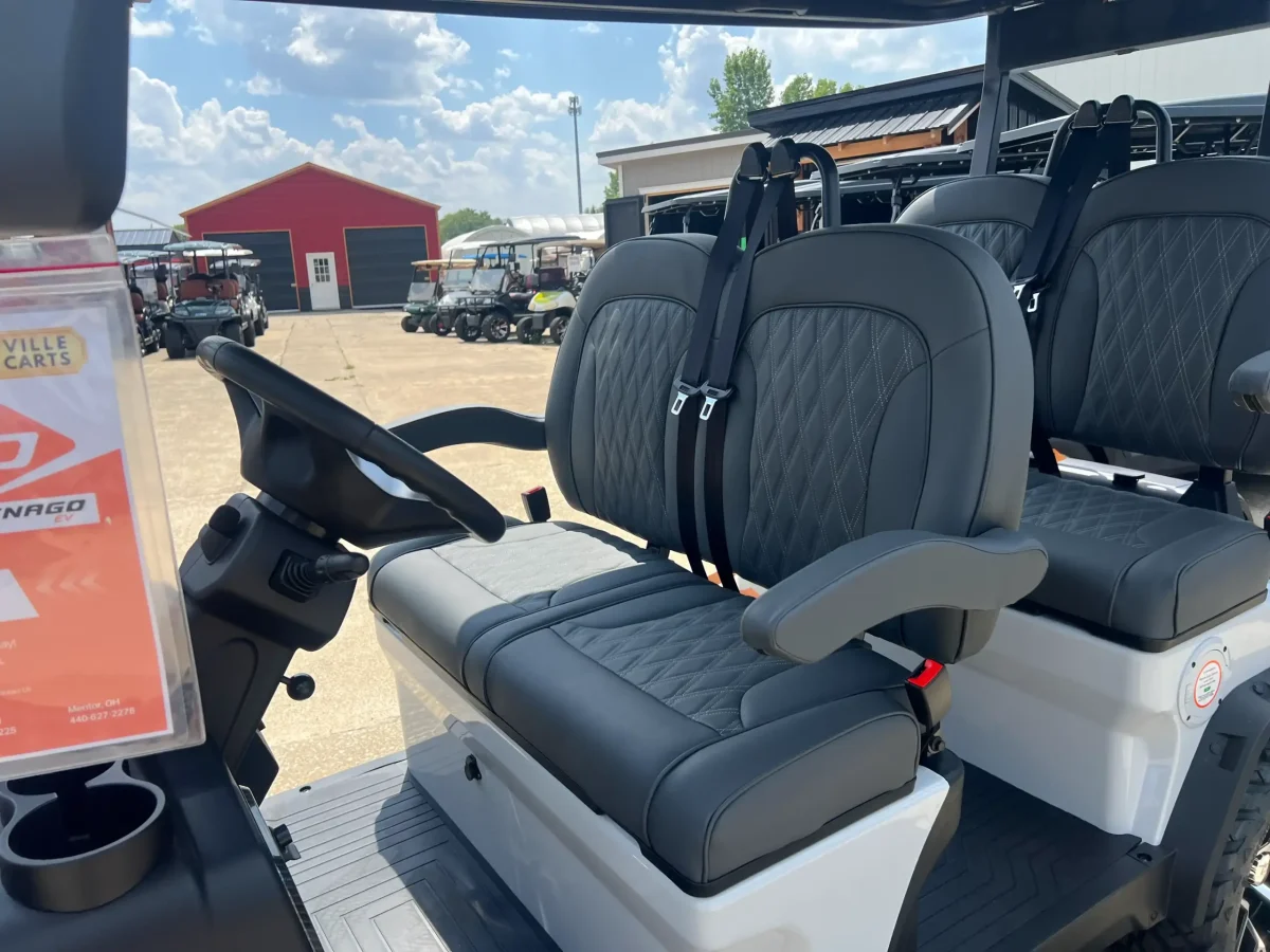 denago ev rover xl for sale Willowick ohio