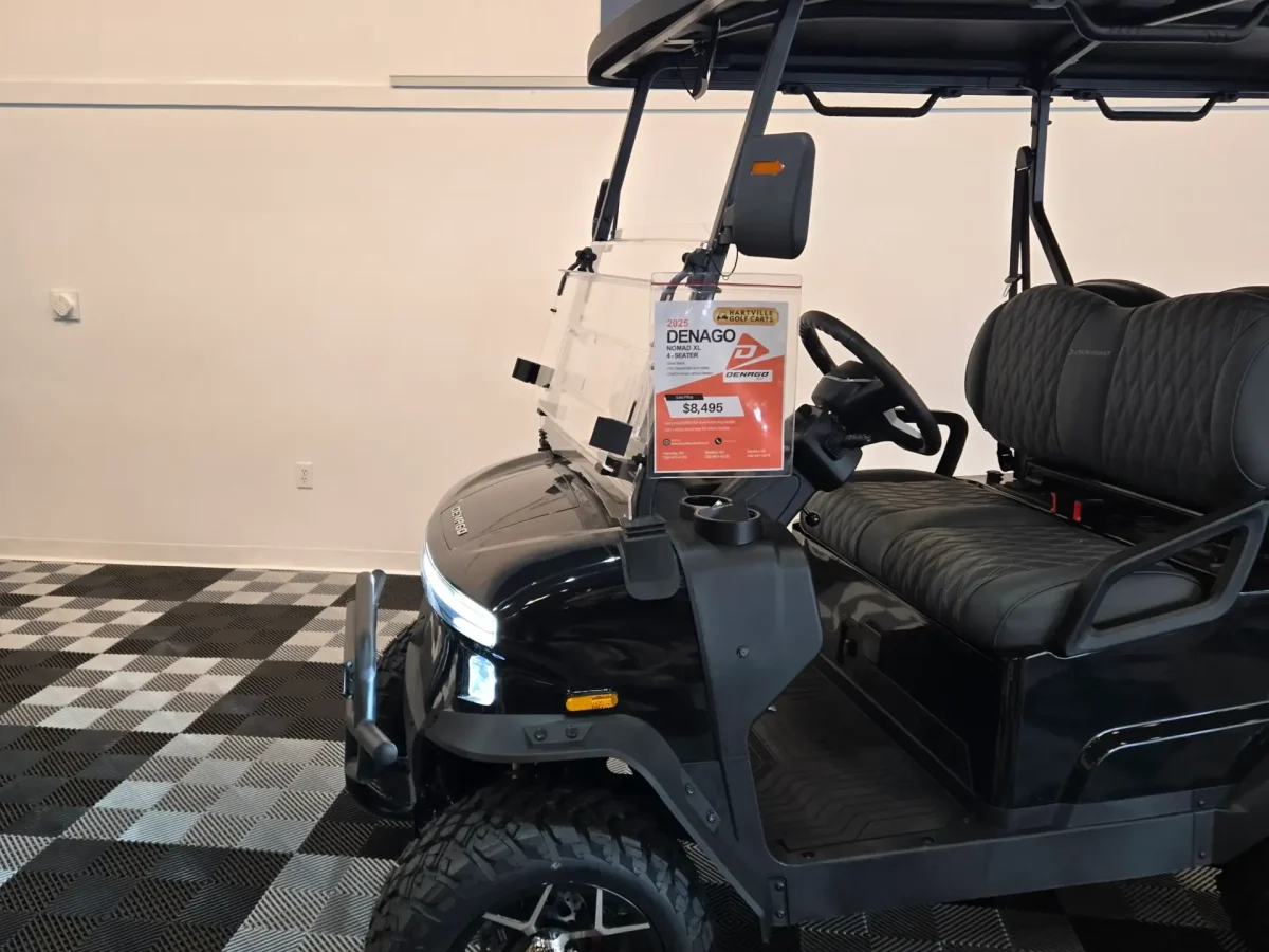 denago golf cart painesville ohio painesville township ohio