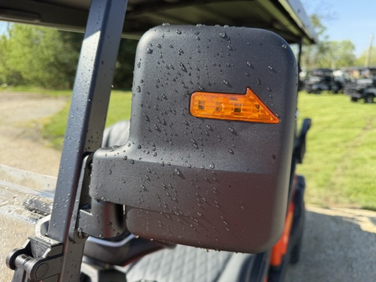 denago golf carts near me Painesville Township Ohio