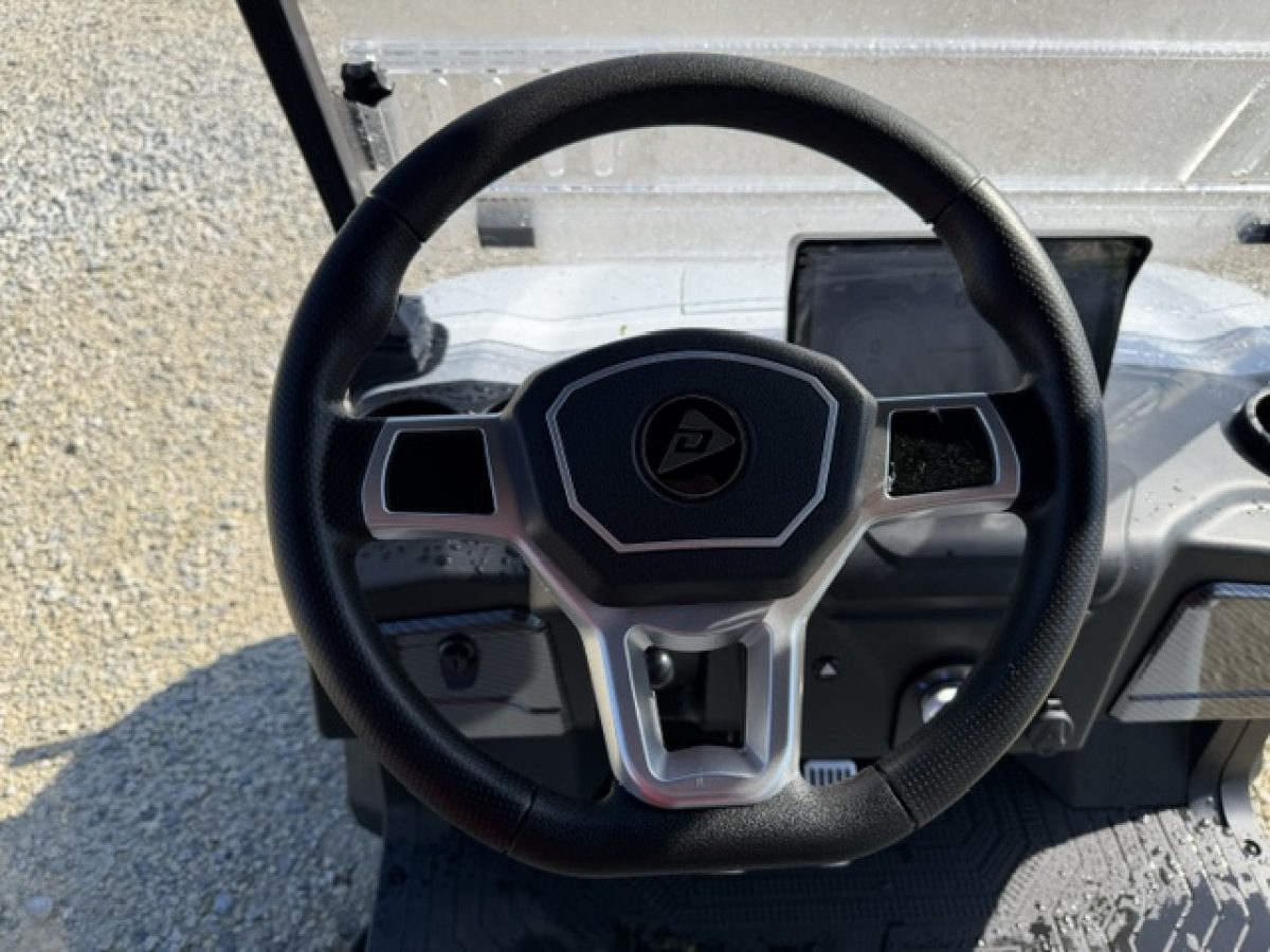 denago golf carts on sale Concord Township Ohio