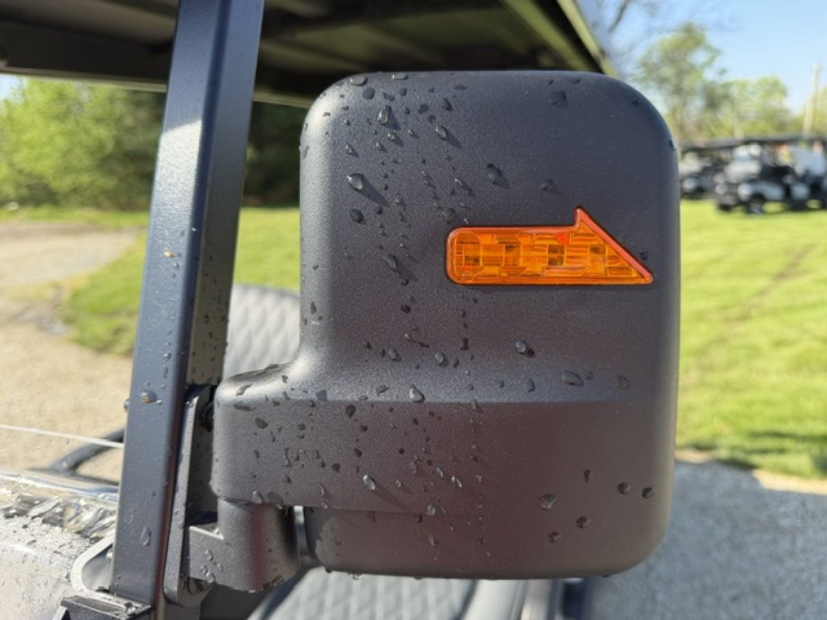 denago golf carts on sale Painesville Township Ohio
