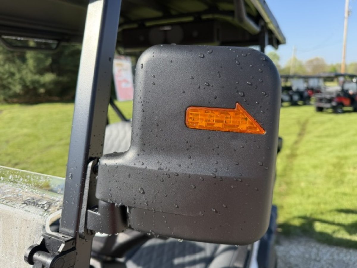 denago nomad golf carts near me Mentor on the Lake Ohio