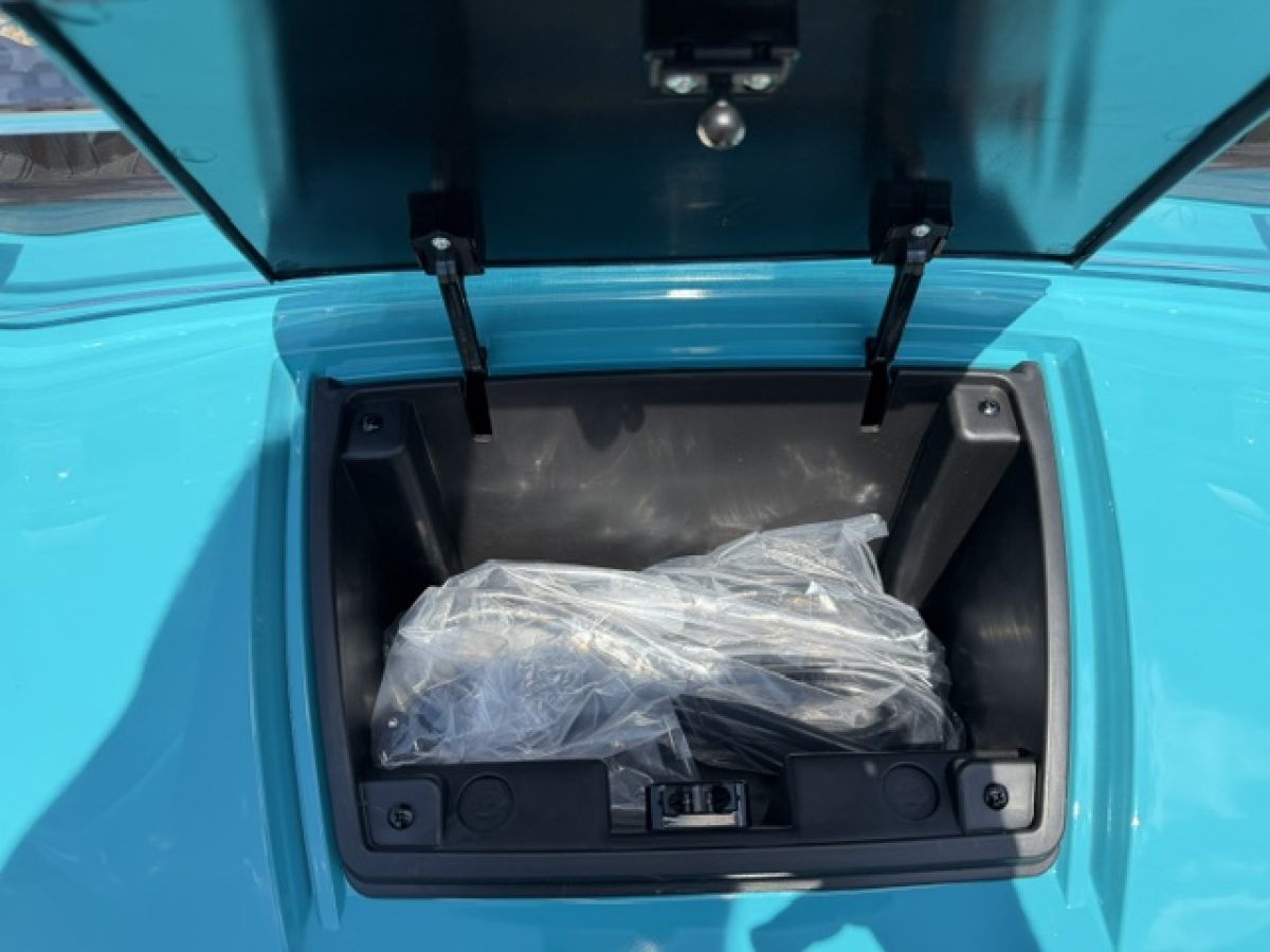 denago nomad golf cart​ on sale Painesville Township Ohio