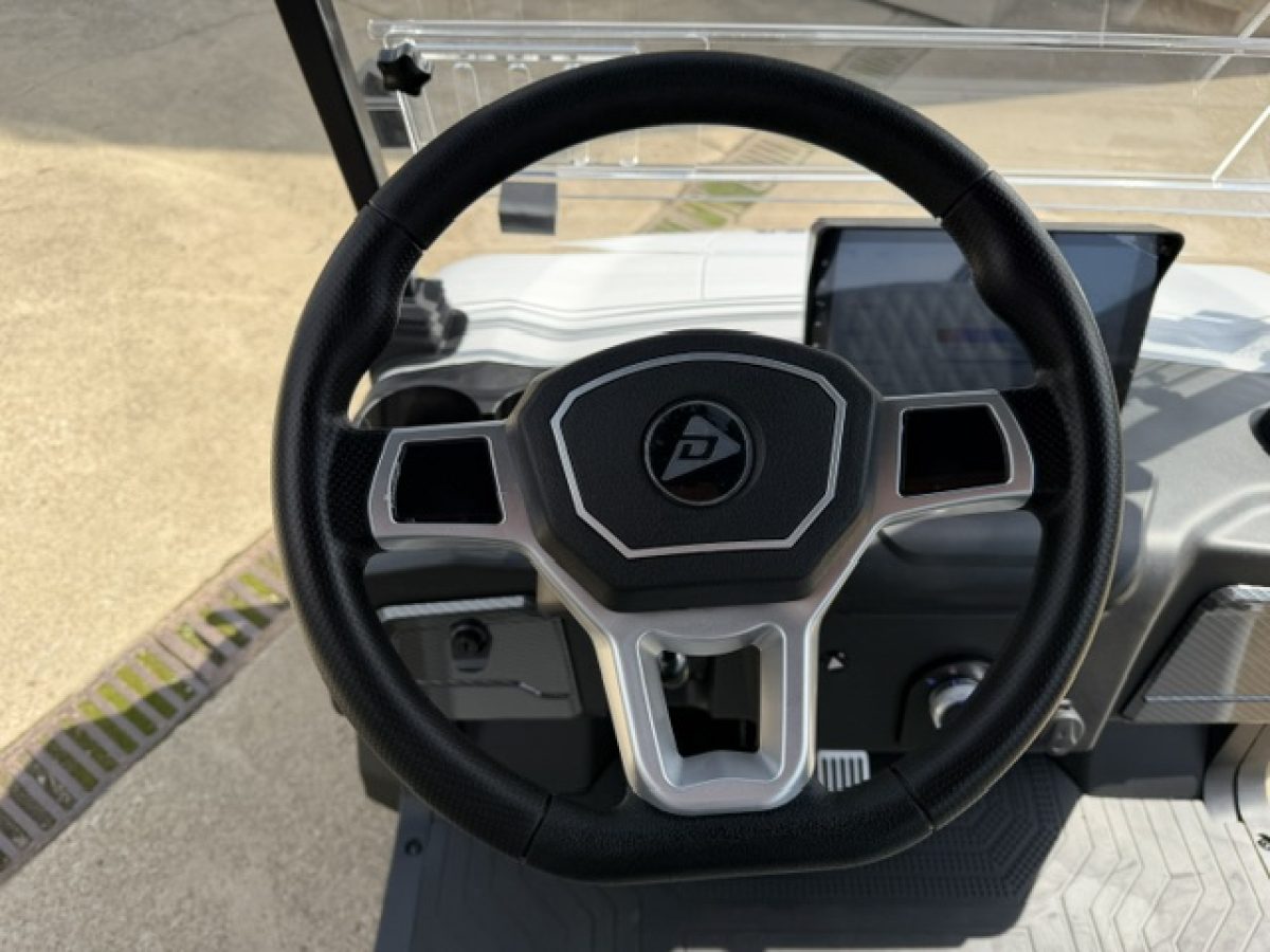 denago nomad xl golf cart Painesville Township Ohio