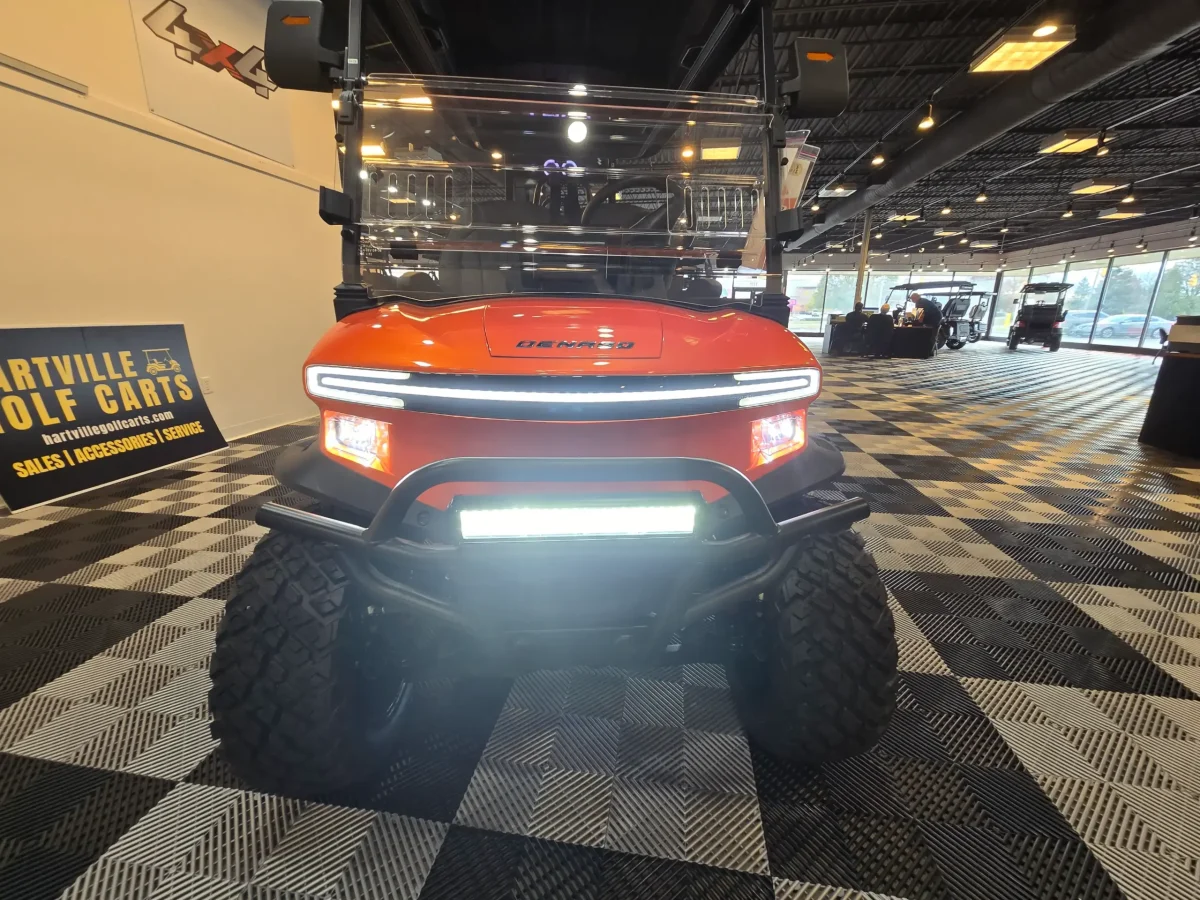 denago rover golf cart for sale painesville ohio chardon ohio