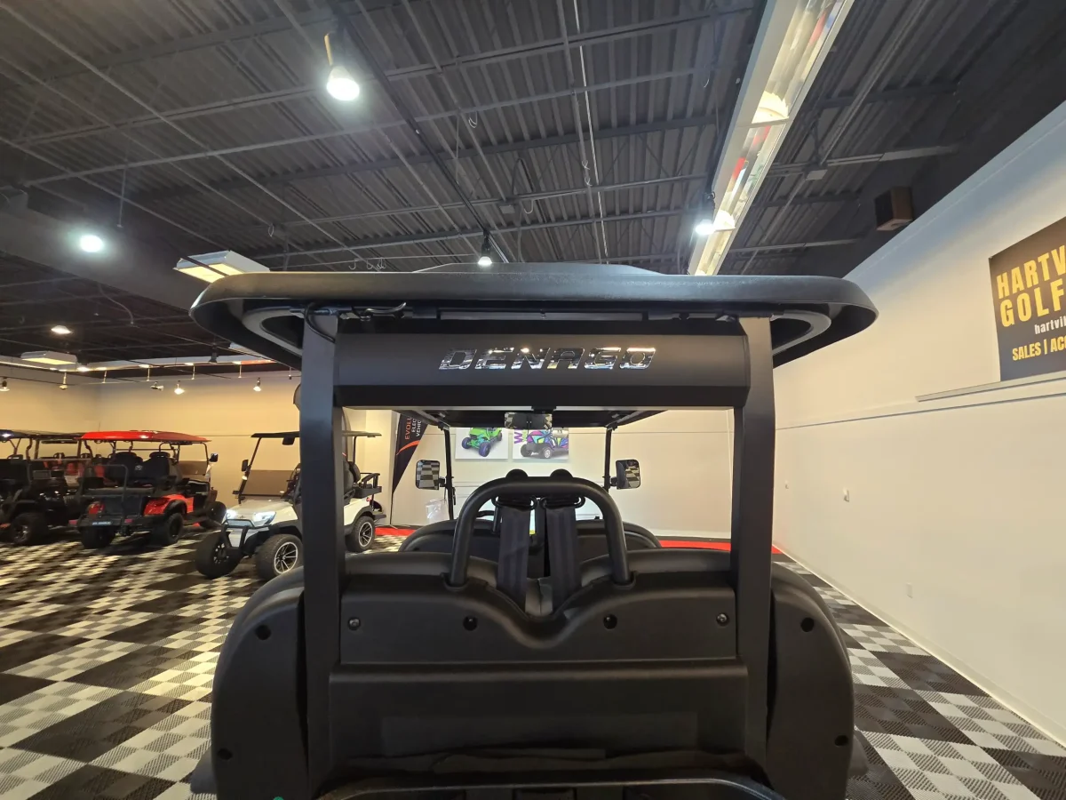 denago rover golf cart for sale painesville ohio mentor ohio