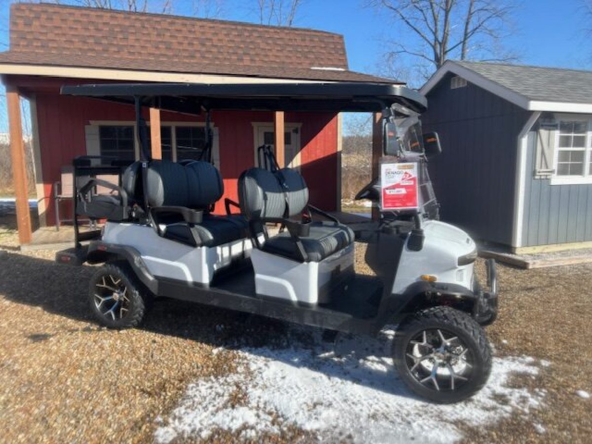 denago rover xl 6 golf cart for sale Medina Ohio
