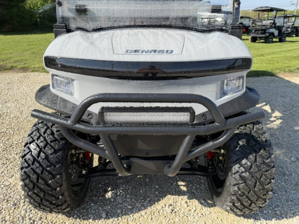 denago rover xl 6 golf carts Mentor on the Lake Ohio