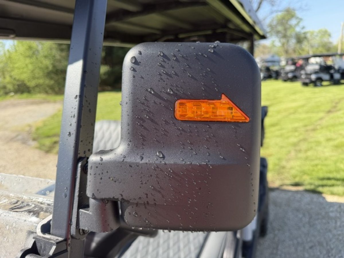 denago rover xl 6 golf carts Painesville Township Ohio