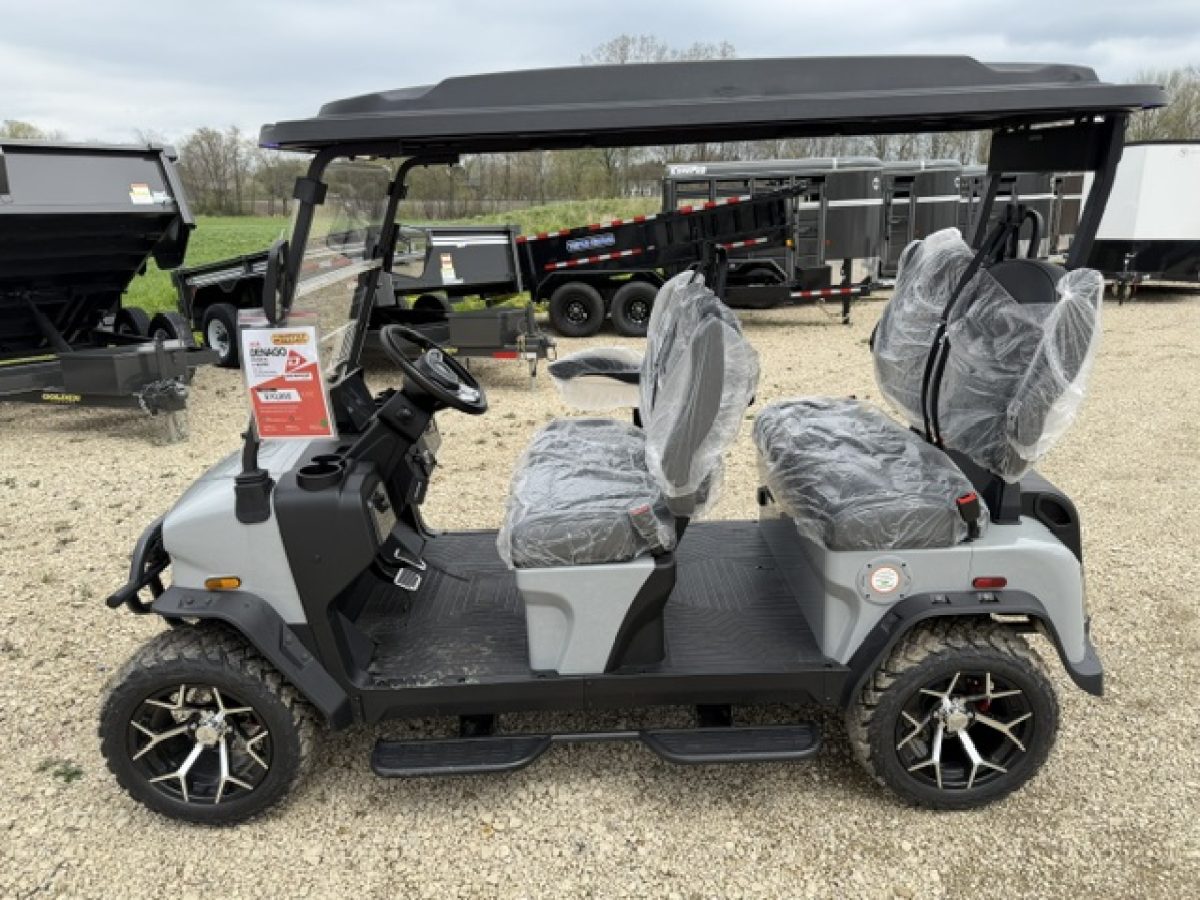 denago rover xl golf cart near me Kirtland Ohio