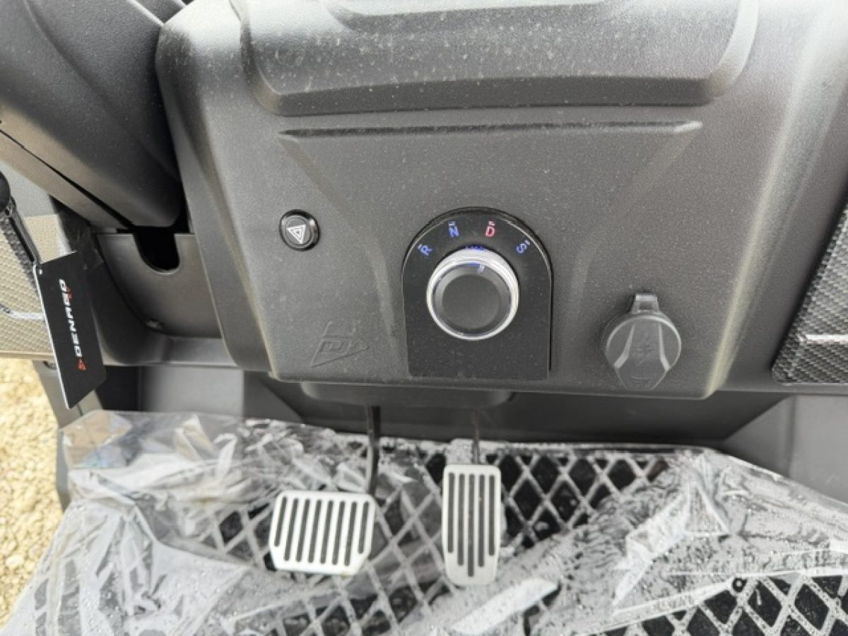 denago rover xl golf carts for sale Madison Ohio