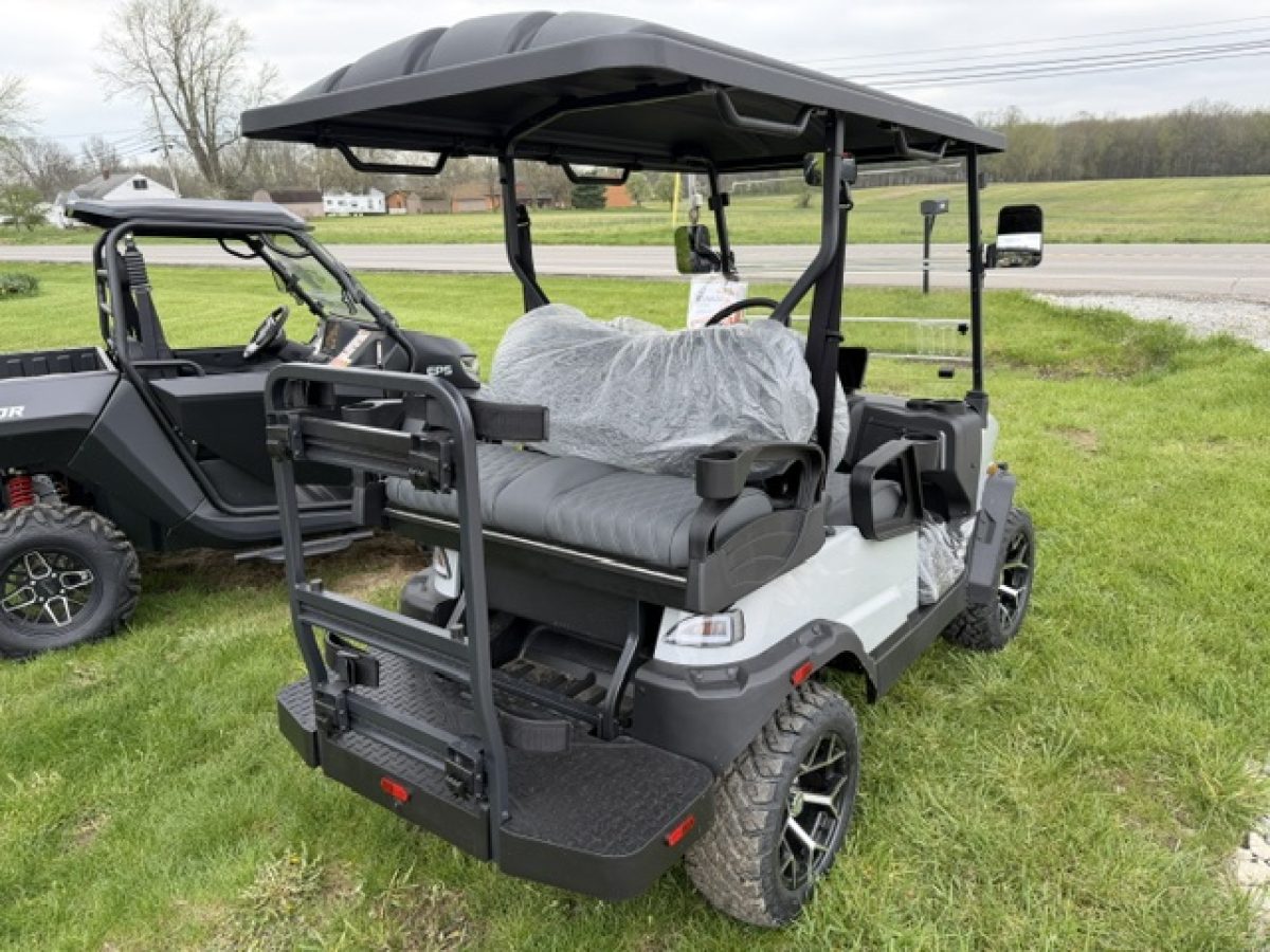denago rover xl golf carts near me Painesville Township Ohio