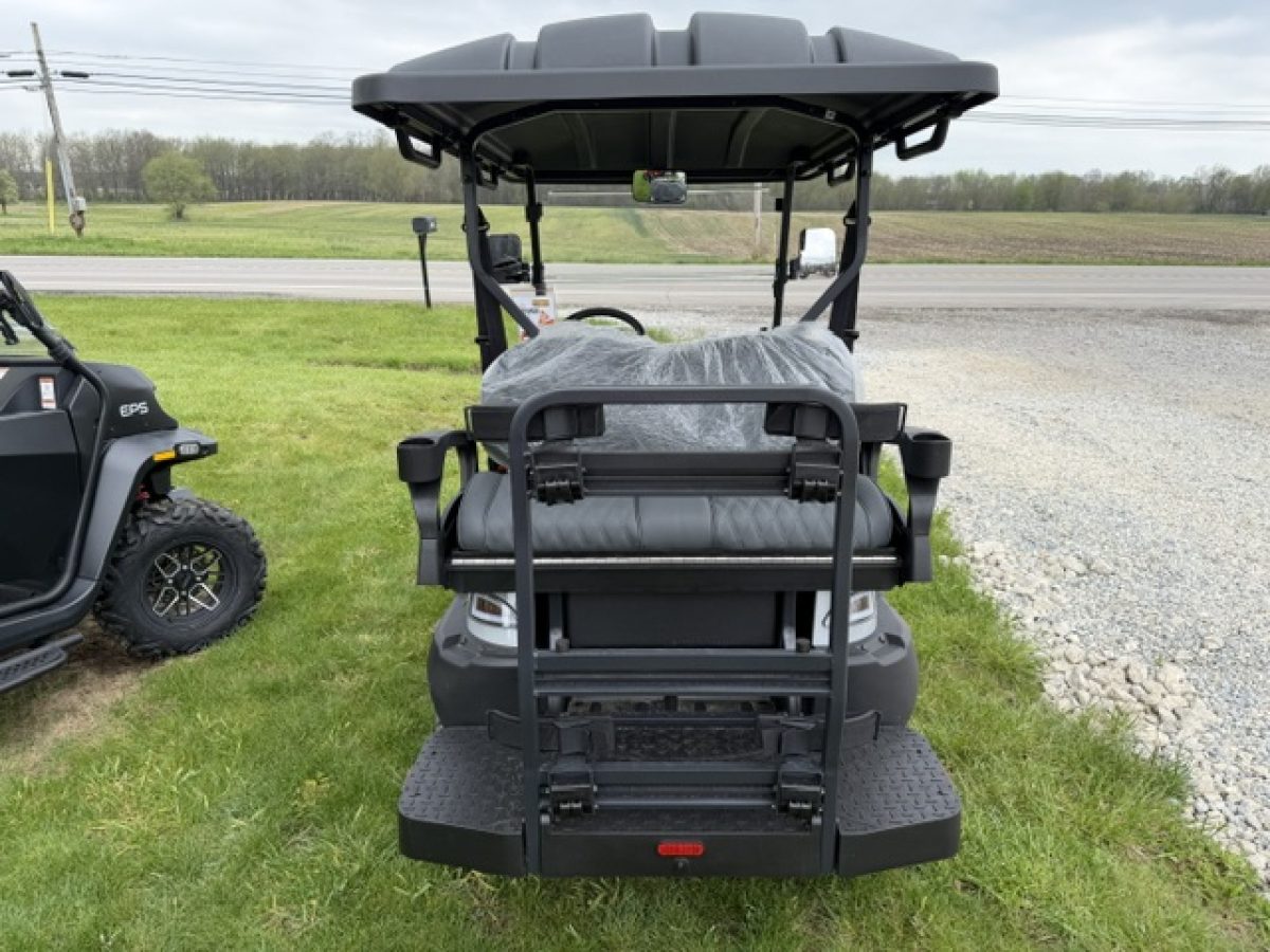 denago rover xl golf carts near me Wickliffe Ohio