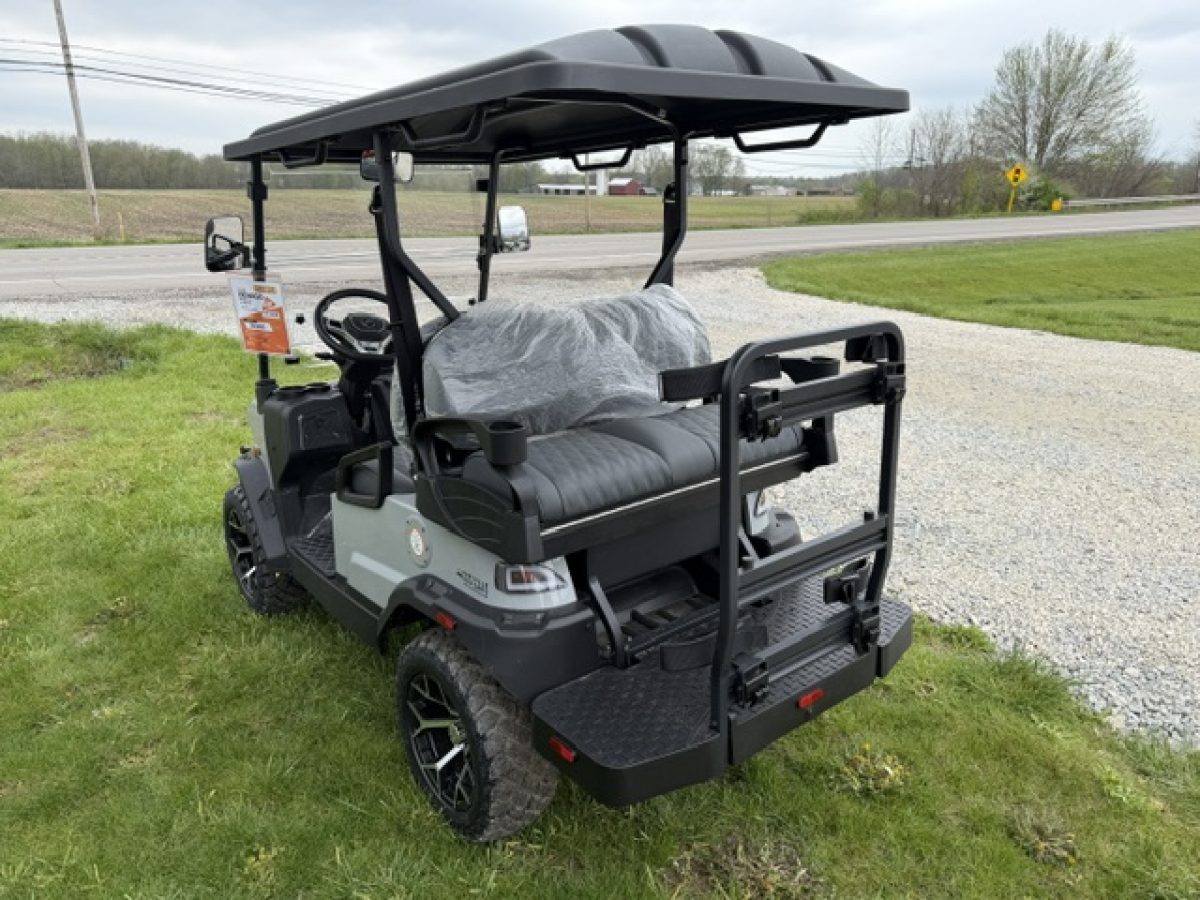 denago rover xl golf carts near me Willowick Ohio