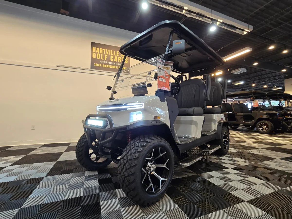 denago rover xl painesville ohio concord twp ohio