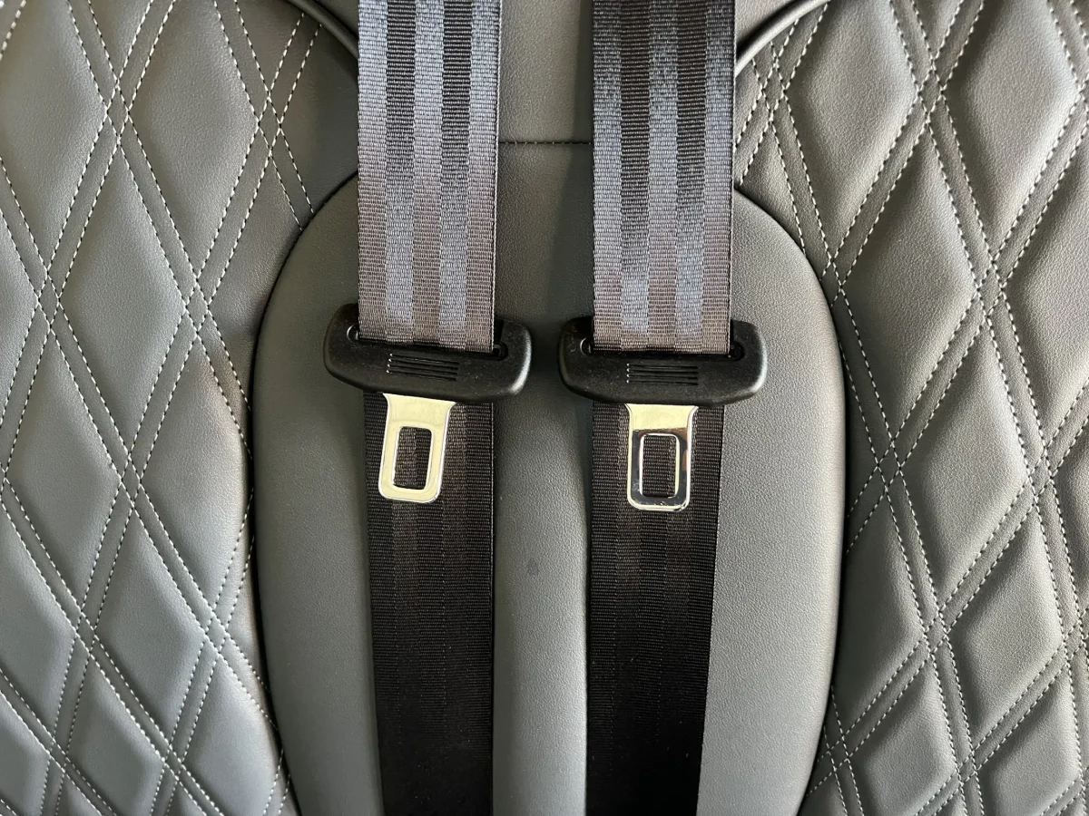 denago rover xl red Kirtland Ohio