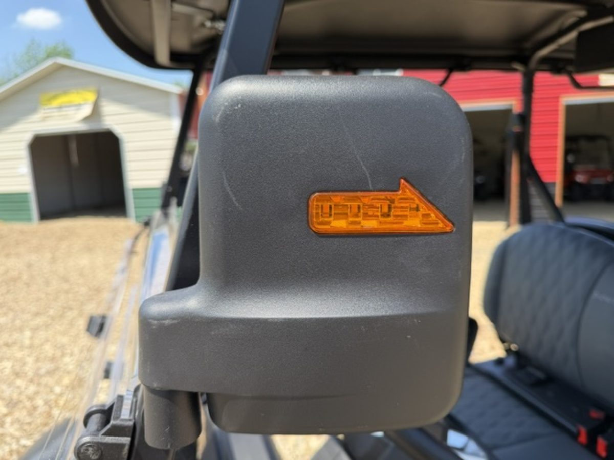 denago xl​ golf cart Concord Ohio