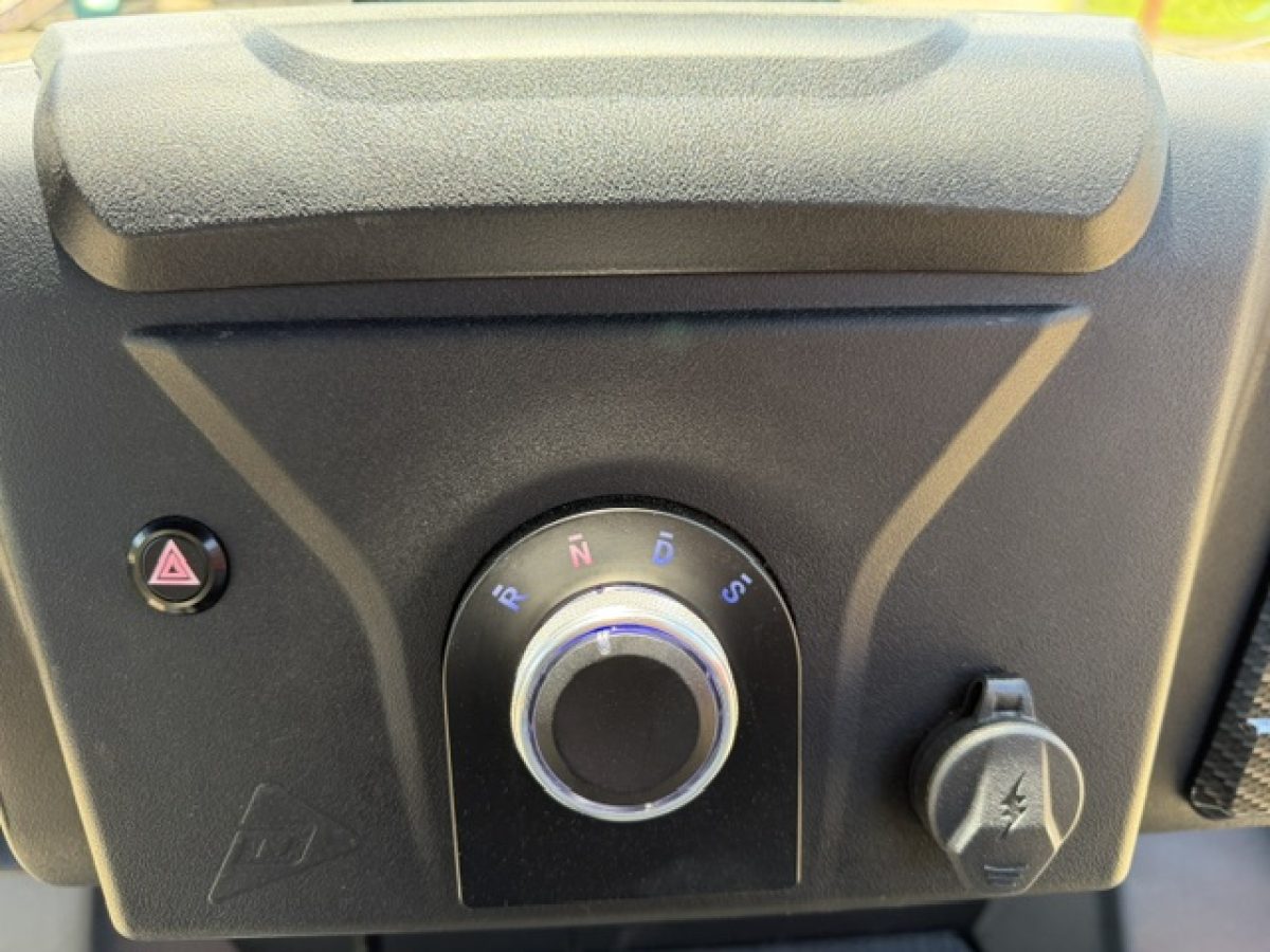denago xl​ golf cart Madison Ohio