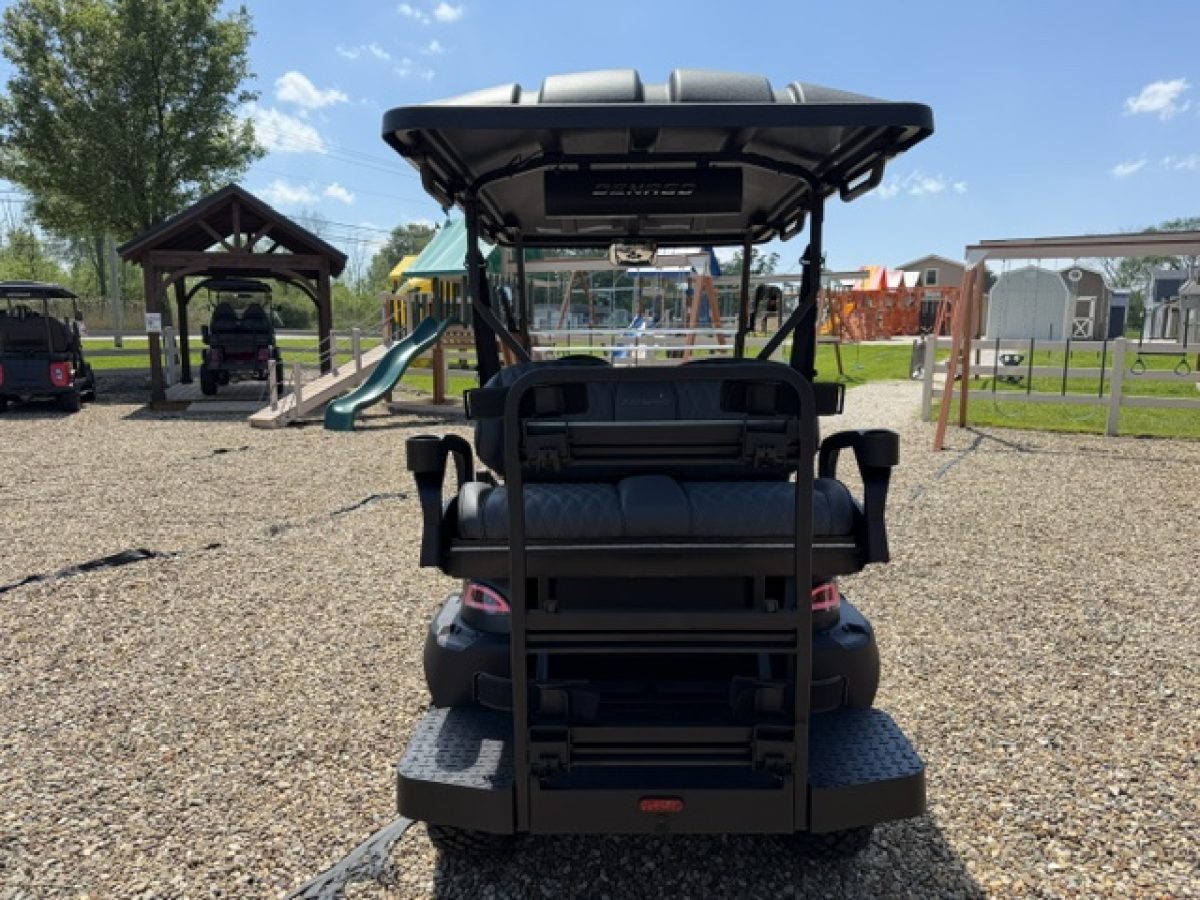 denago xl​ golf cart Willoughby Ohio