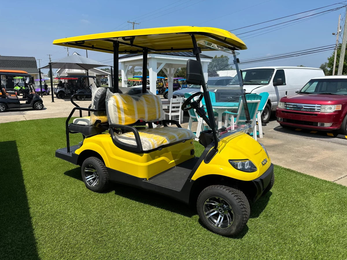 disc golf cart (2)