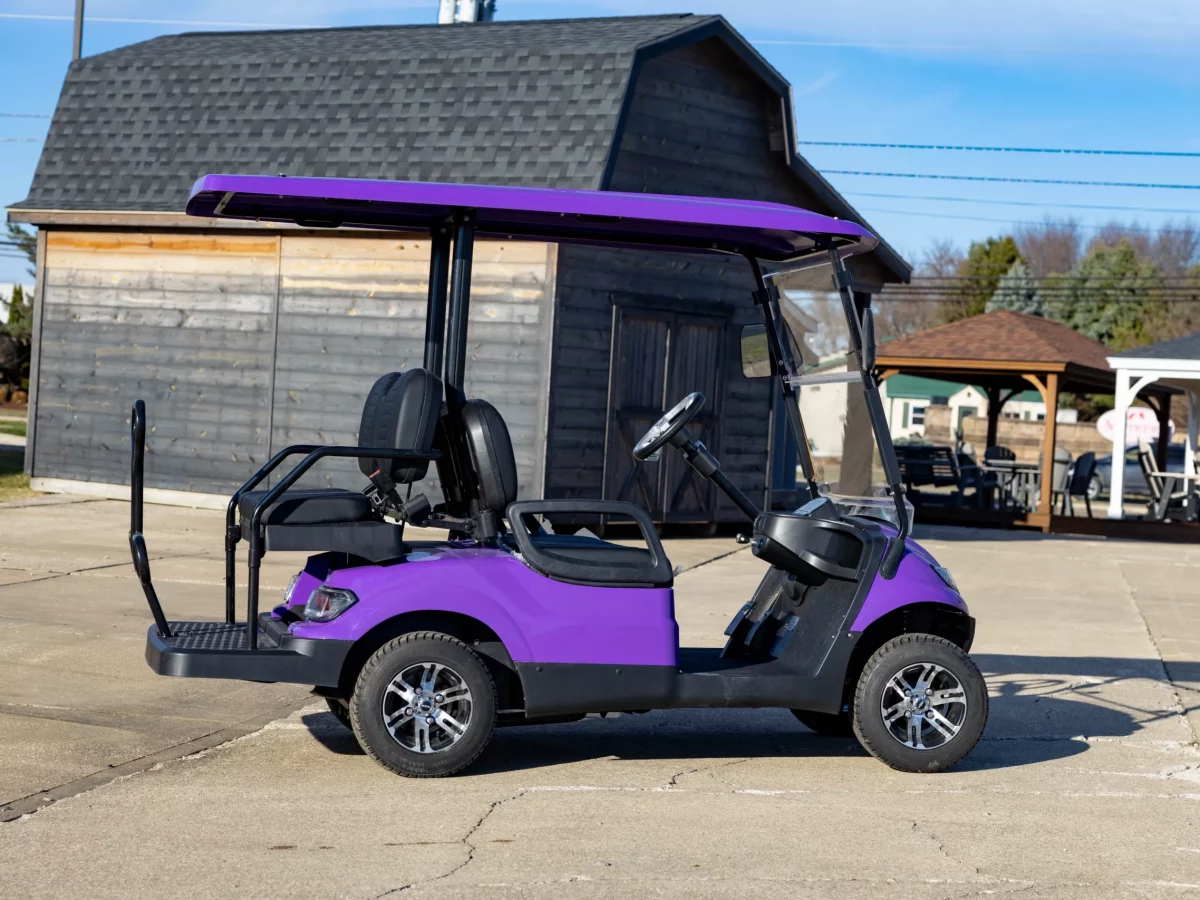 disc golf cart