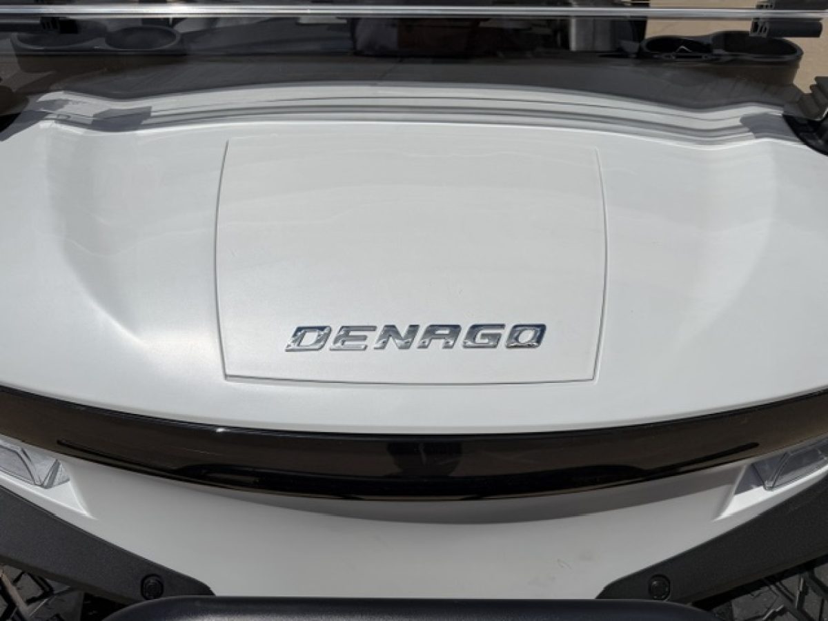 electric golf cart dealers Painesville Township Ohio